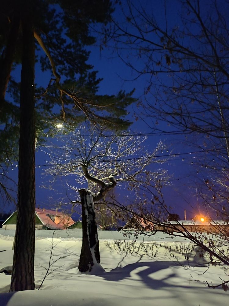 Photograph by Galina Novichkova