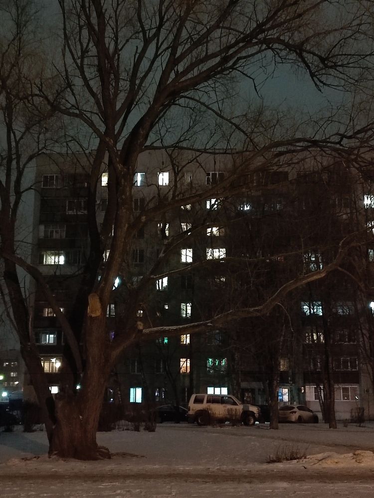 Photograph by Galina Novichkova