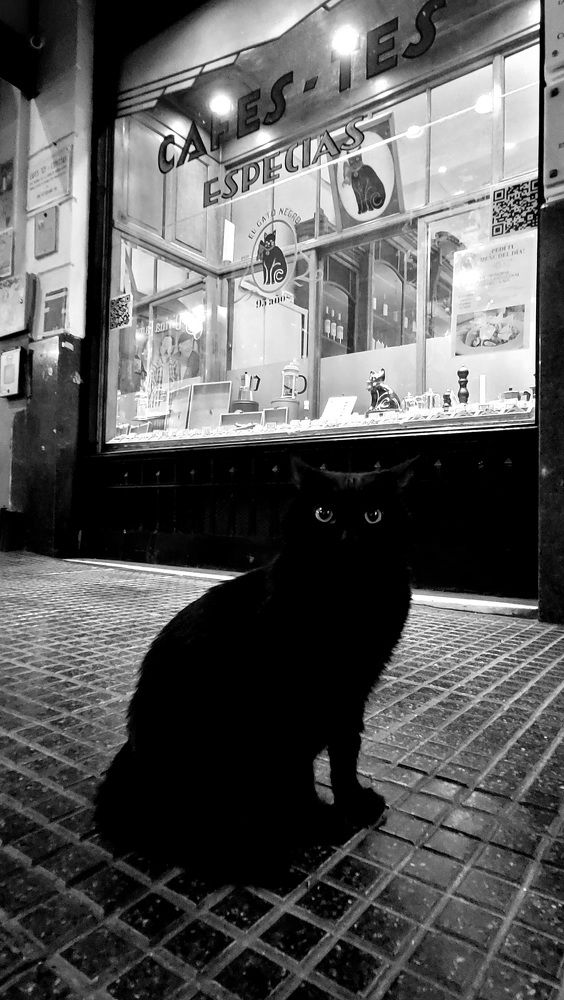 El Gato Negro