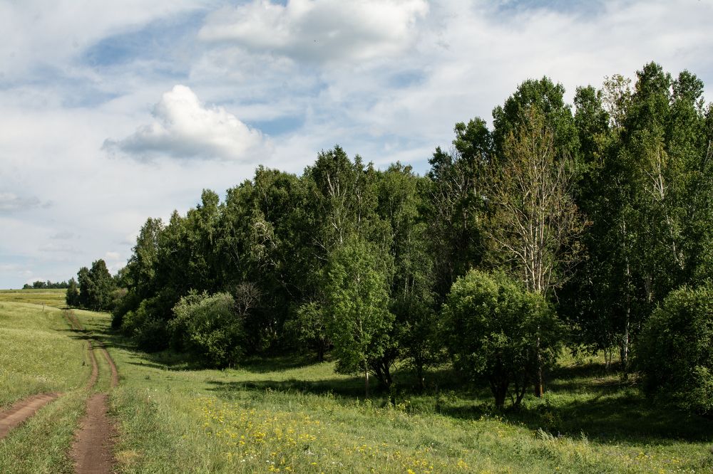 Фотография автора Sergey Kozelsky