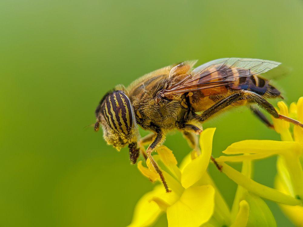 Photograph by Utpal Roy