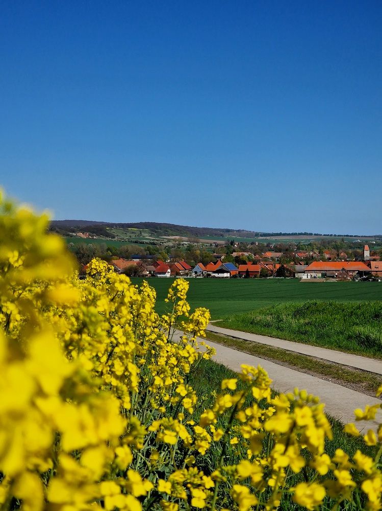 Photograph by Maria Zorich