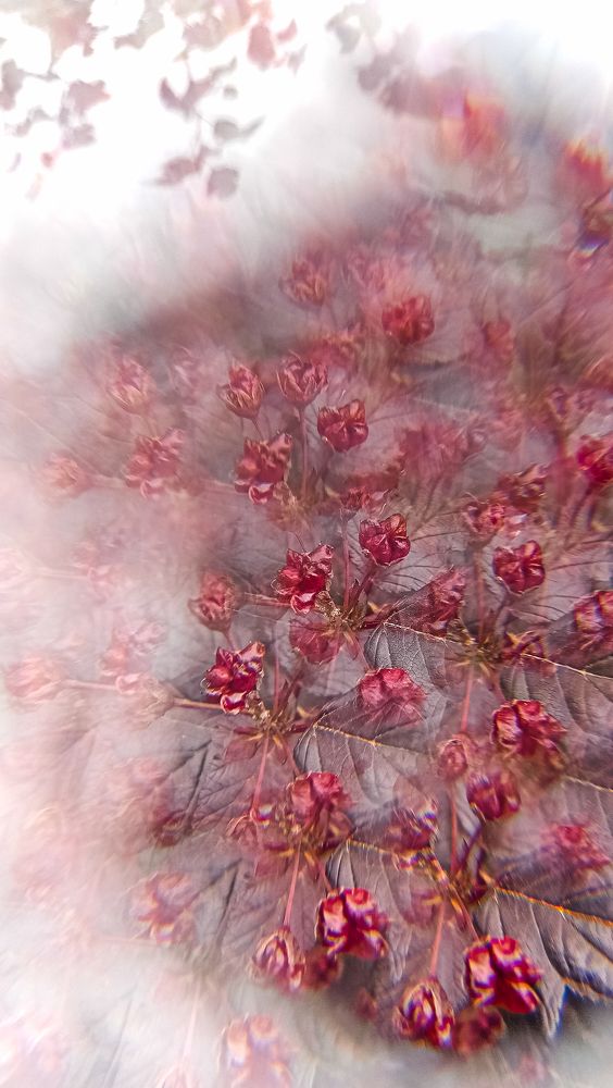 Photograph by Катя Цвет