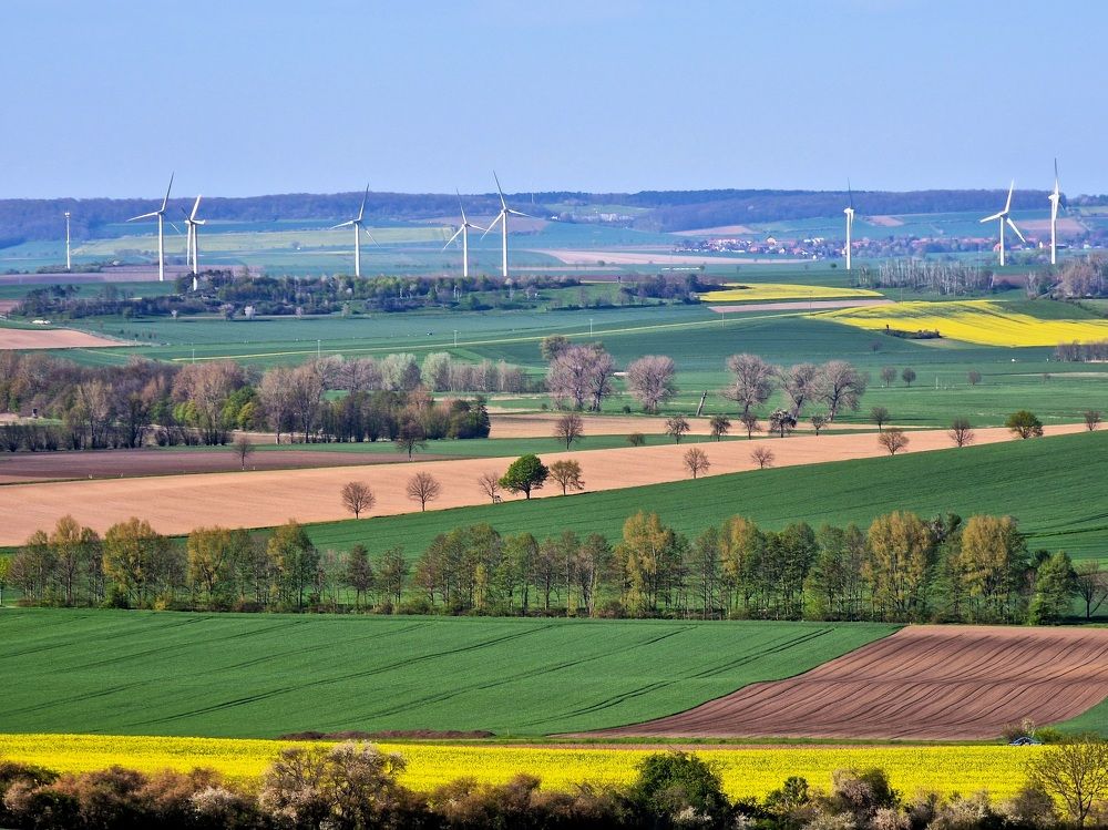 Photograph by Maria Zorich