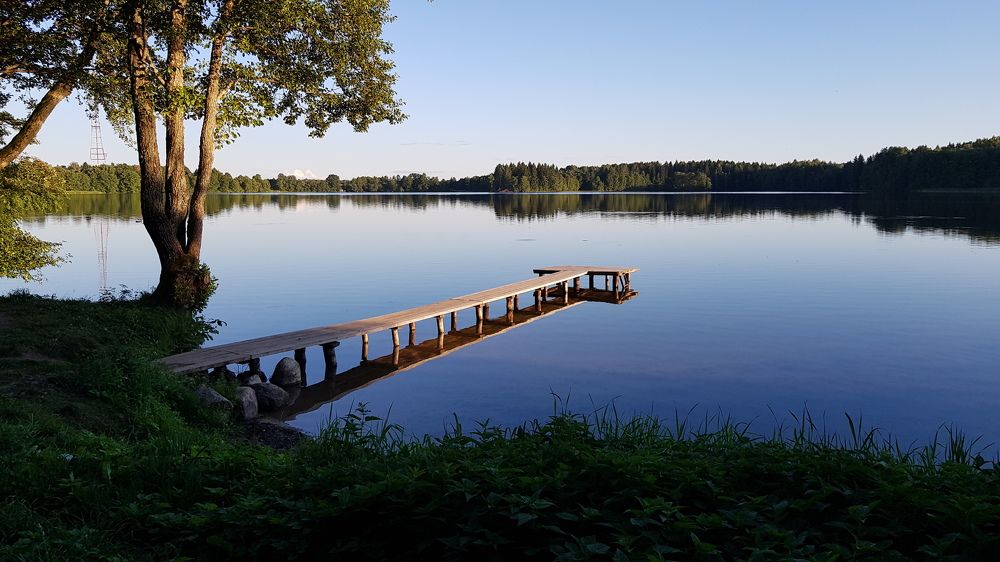 Photograph by Larisa Gella