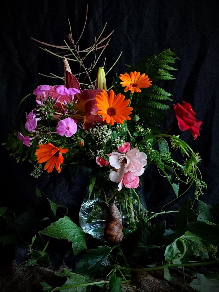 Photograph by Galina Novichkova