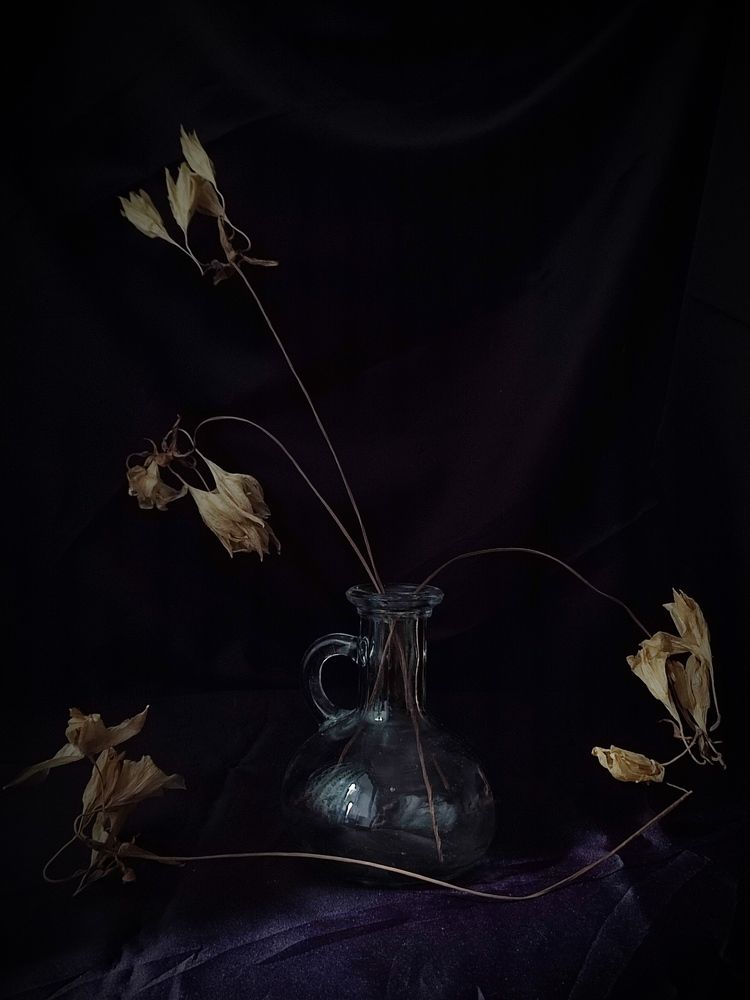 Photograph by Galina Novichkova