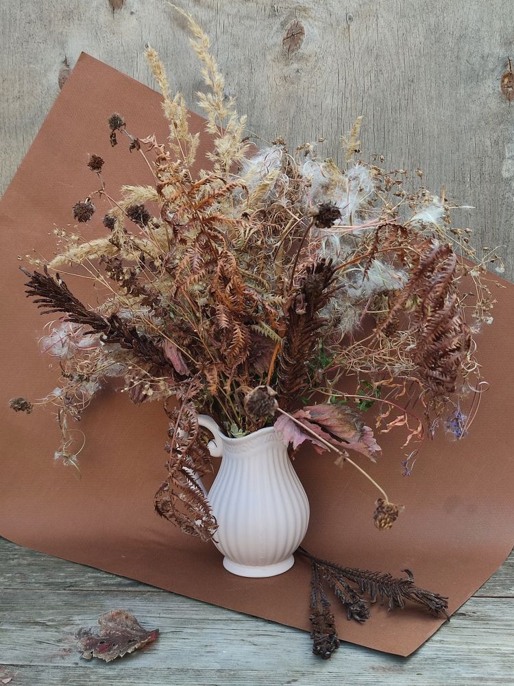 Photograph by Galina Novichkova