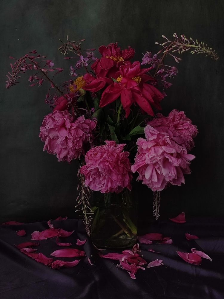 Photograph by Galina Novichkova