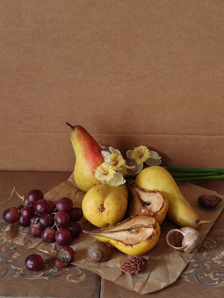 Photograph by Galina Novichkova