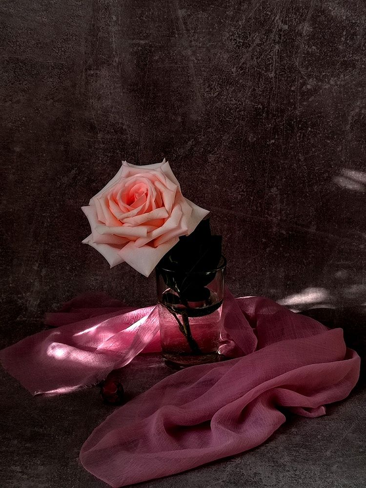 Photograph by Galina Novichkova