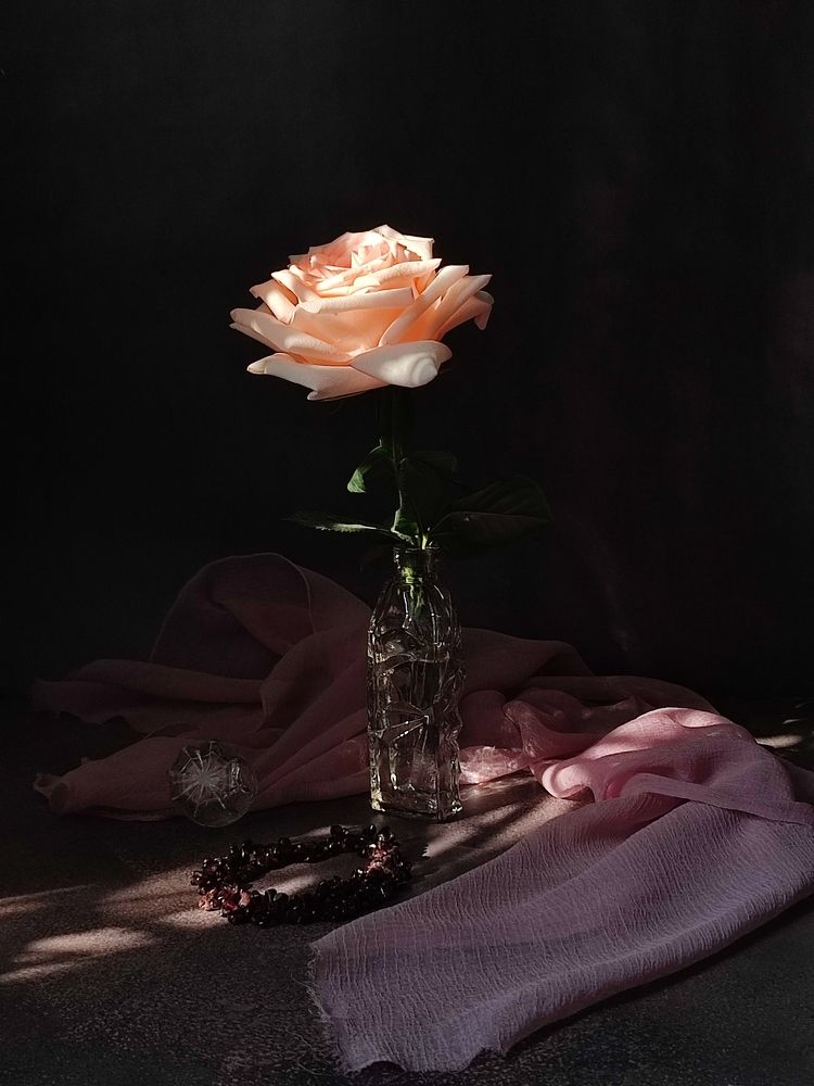 Photograph by Galina Novichkova