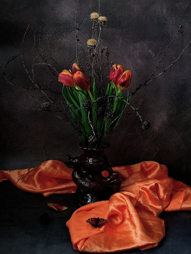 Photograph by Galina Novichkova