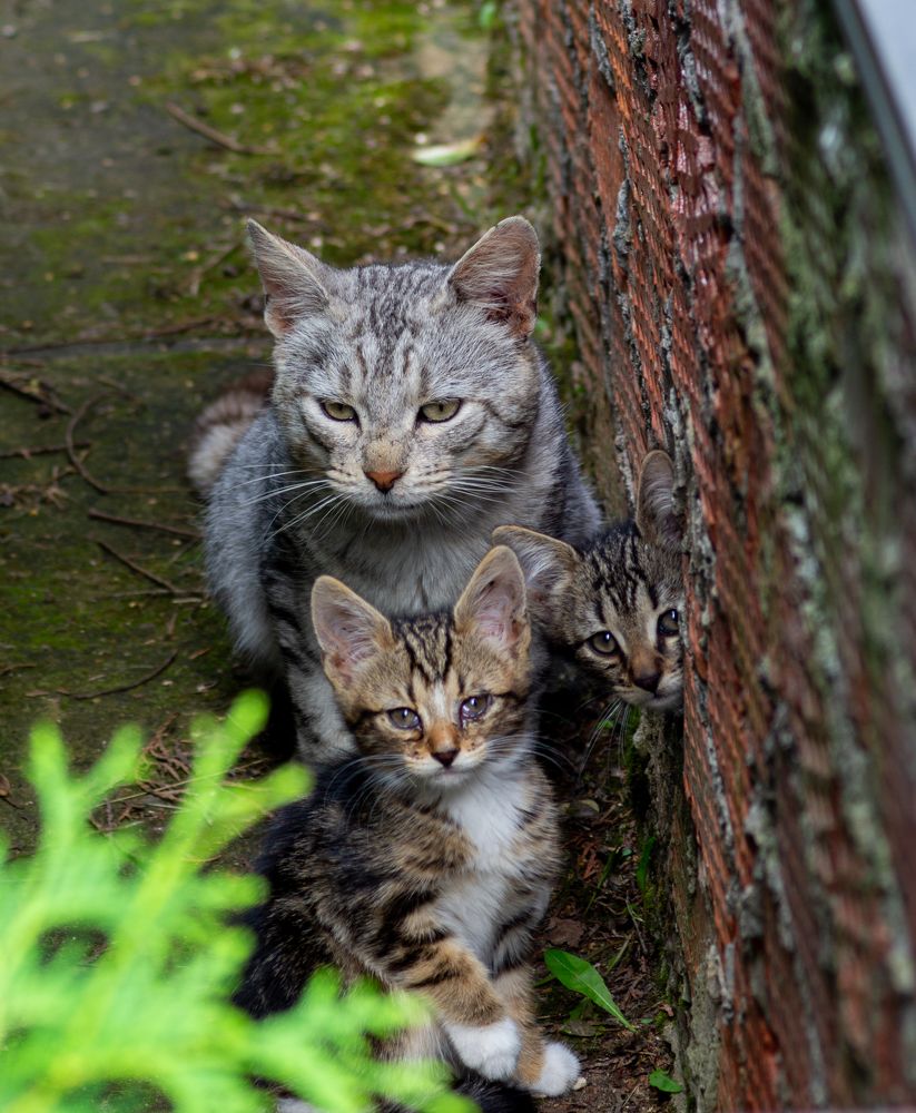 Photograph by Максим Захаров