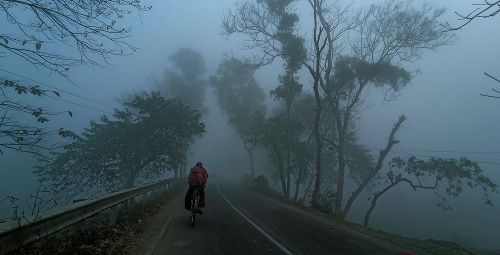Photo #10387689