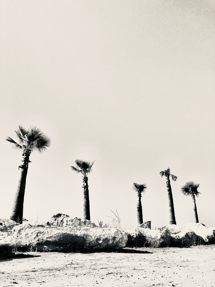 Photograph by Юлия Гурова
