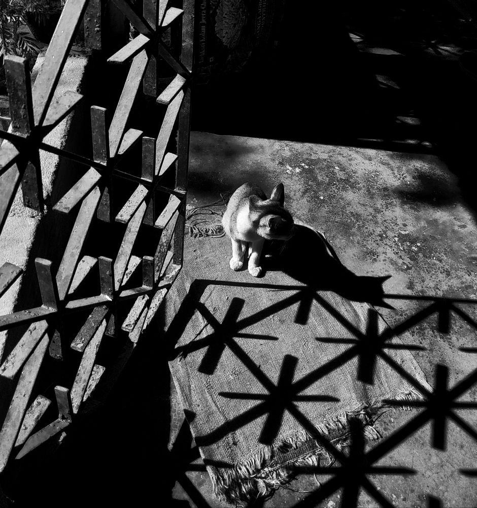 Photograph by Souvik De