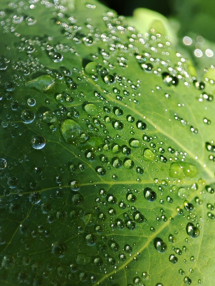 Photograph by Galina Novichkova