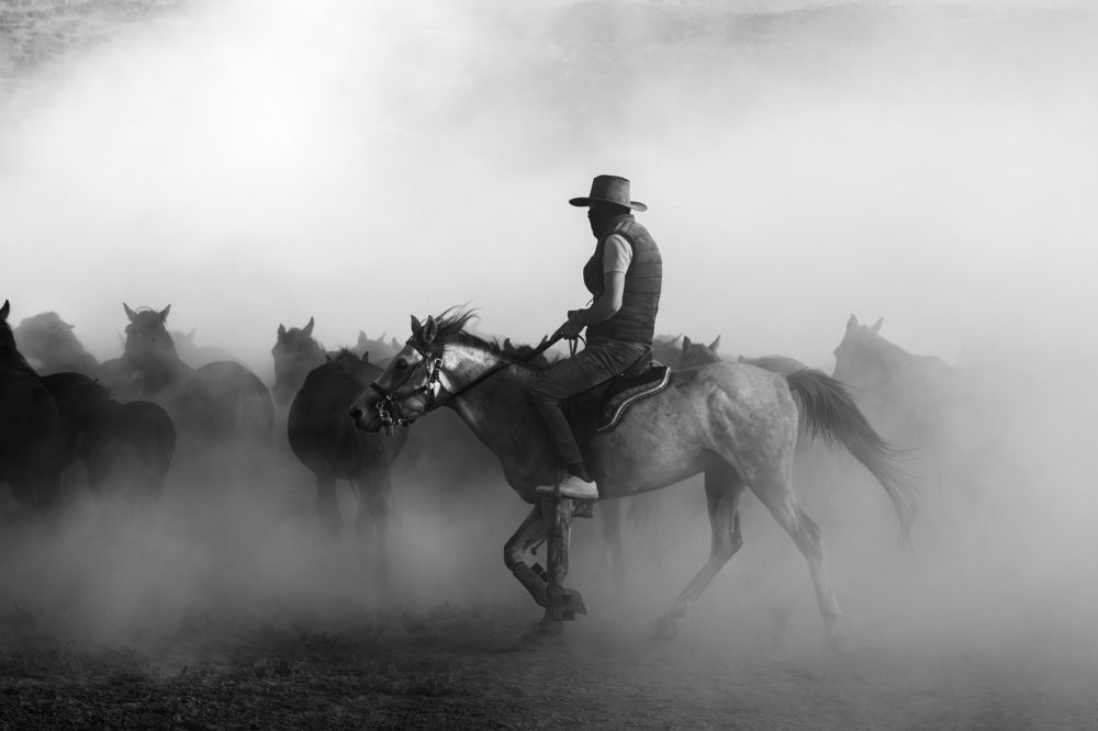 Фотография автора Aylin Turnator