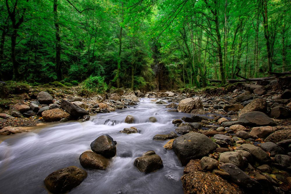 Photograph by Moshtaq AlDelaimy