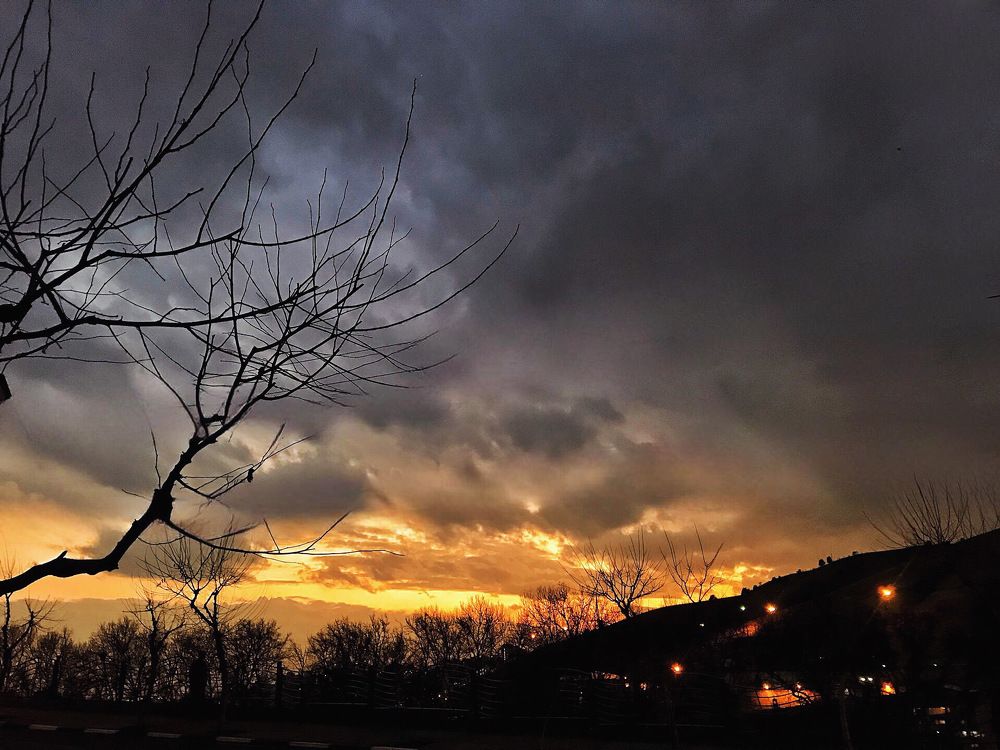 Photograph by Essi Ghasemi