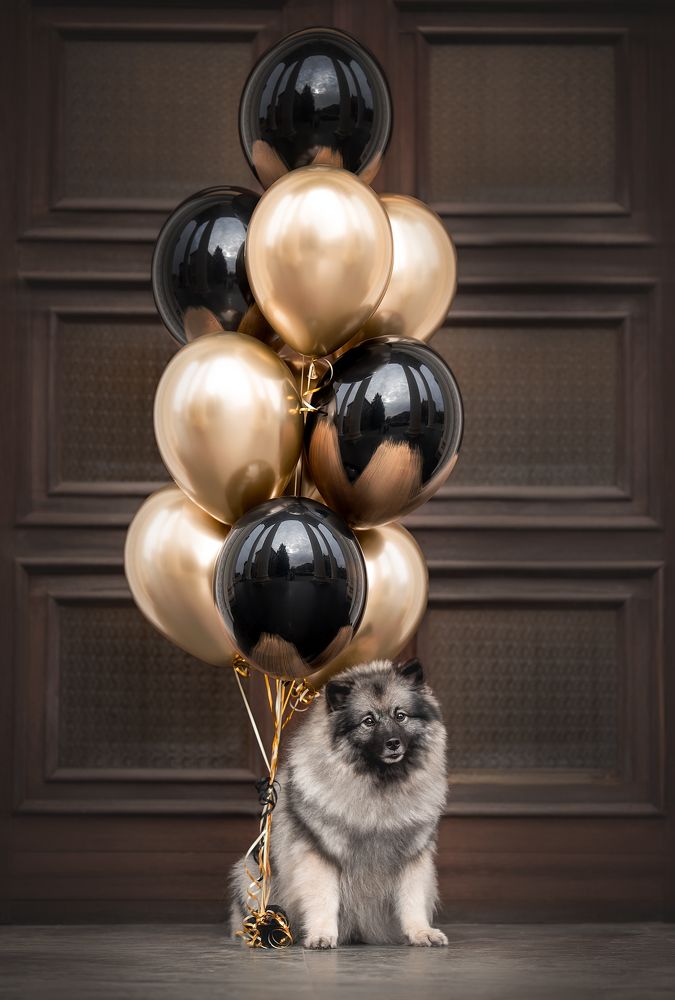 Фотография автора Anna Darahan