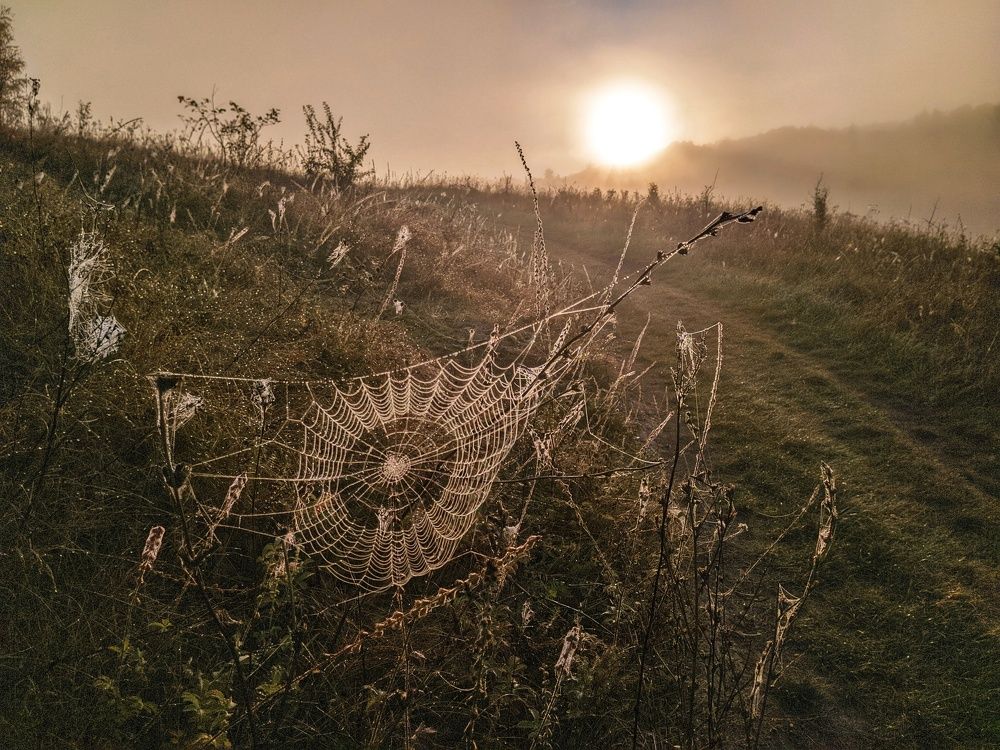 Photograph by Светлана Кондрашова