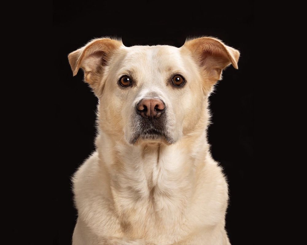 Photograph by Mònica Udina