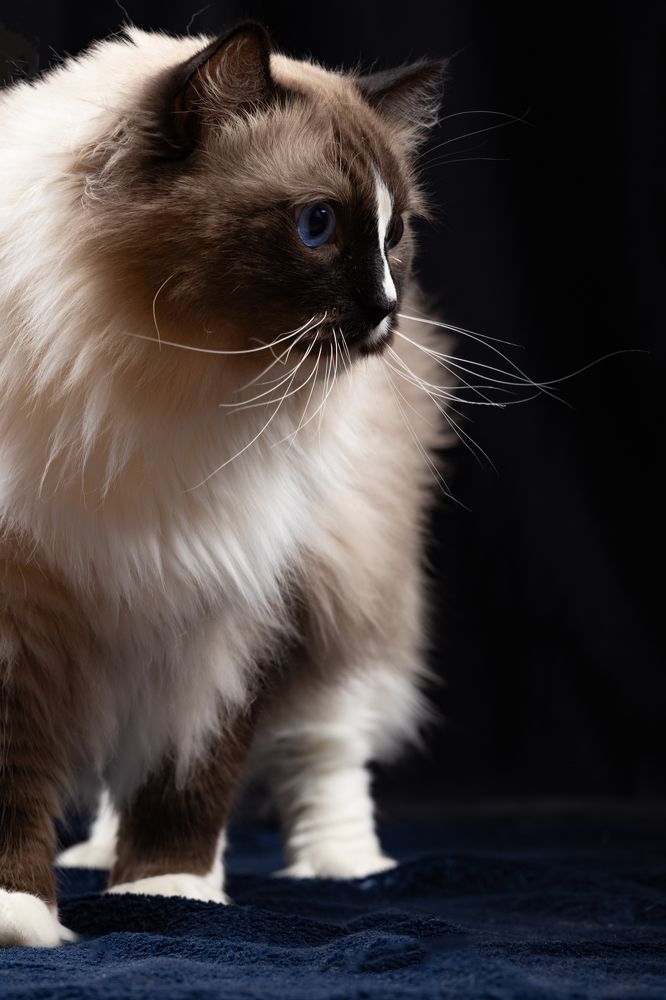 Фотография автора Наталья Якушонок