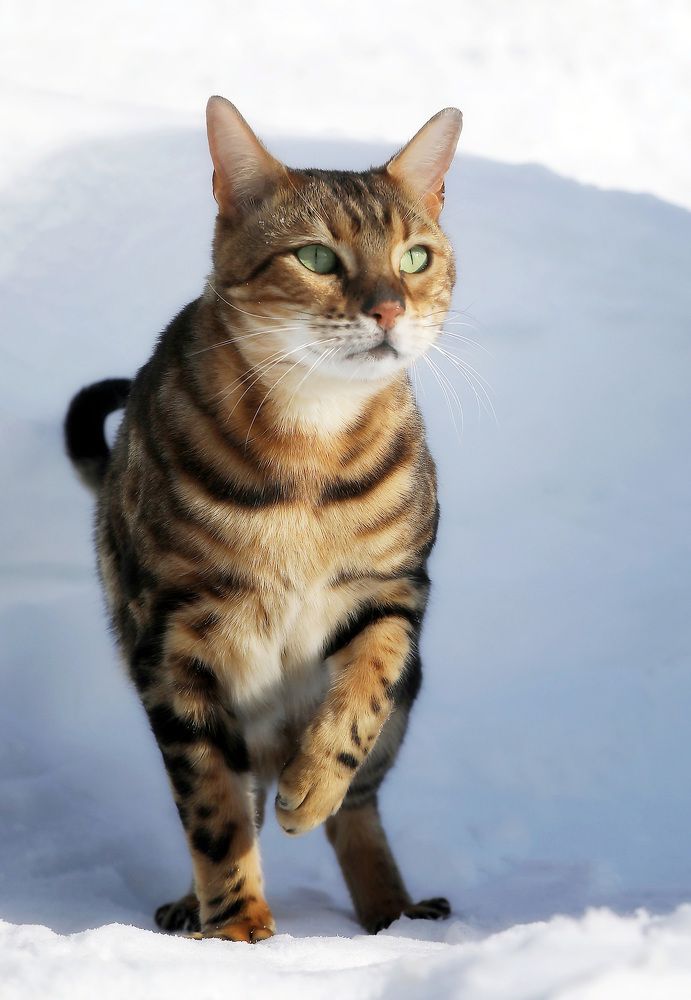 Photograph by Андрей Автухов