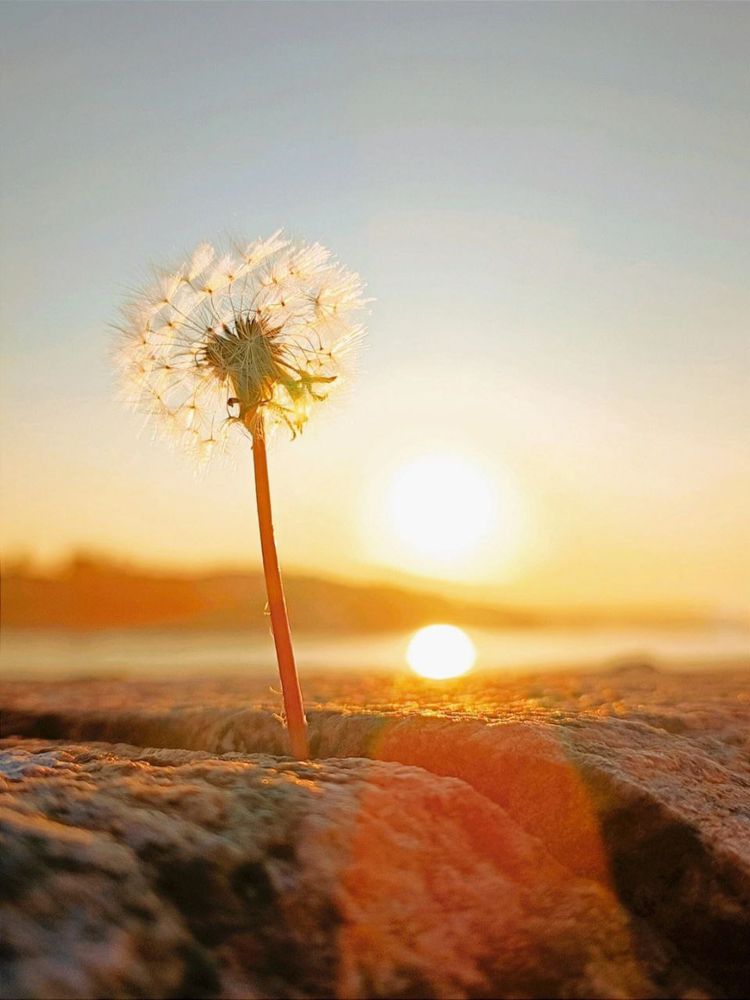 Photograph by Марина Хохрякова