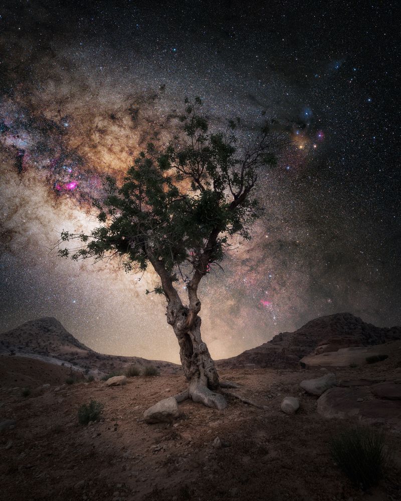 Photograph by Pierandrea