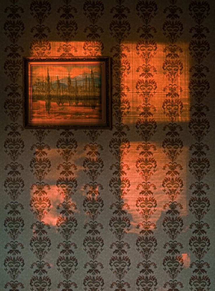 Кипарисы на закате / Cedars at Dusk