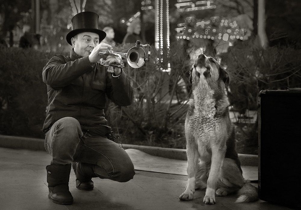 Photograph by Виктор Смирнов