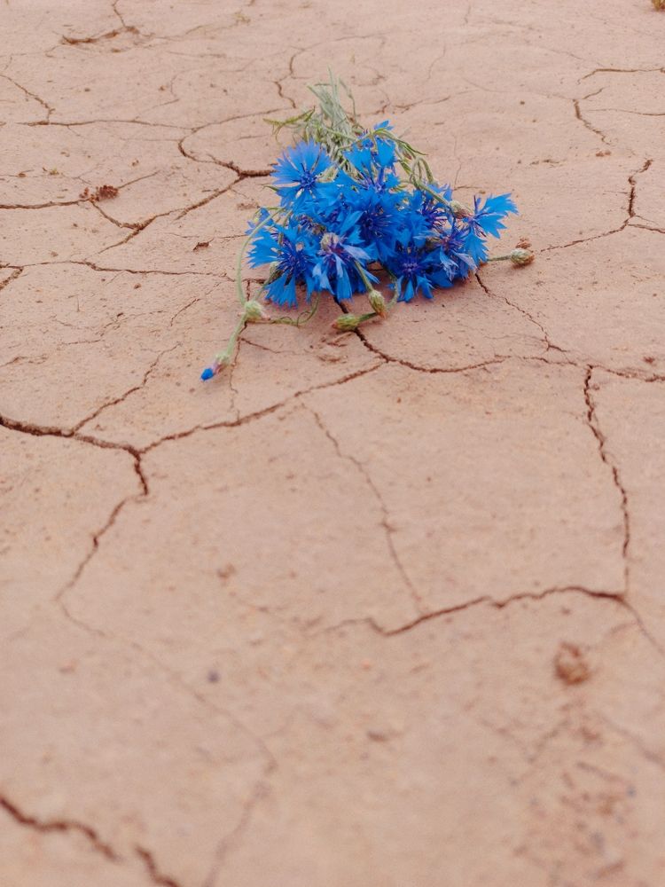 Фотография автора Juli Vvelentini