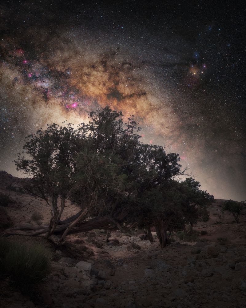 Photograph by Pierandrea