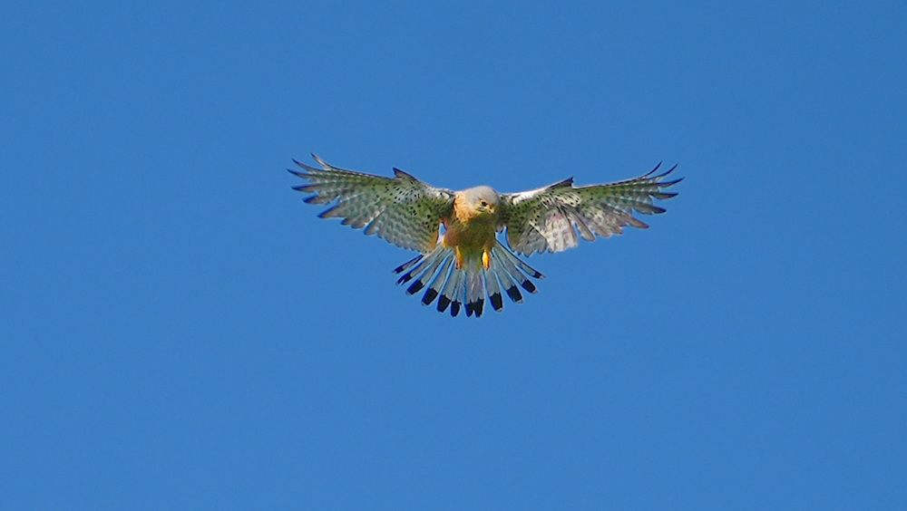 Photograph by Михаил Трусов