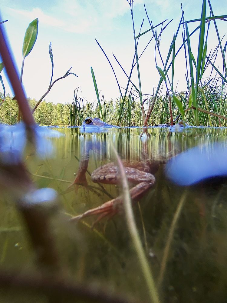 Photograph by Чепрасова Мария
