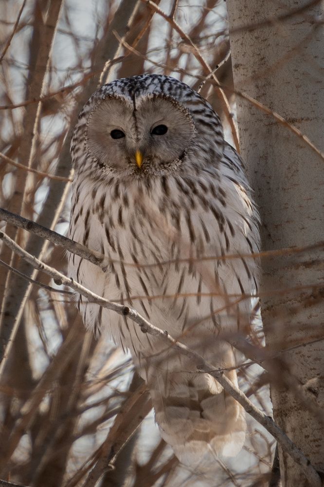Photograph by Высотских Владимир