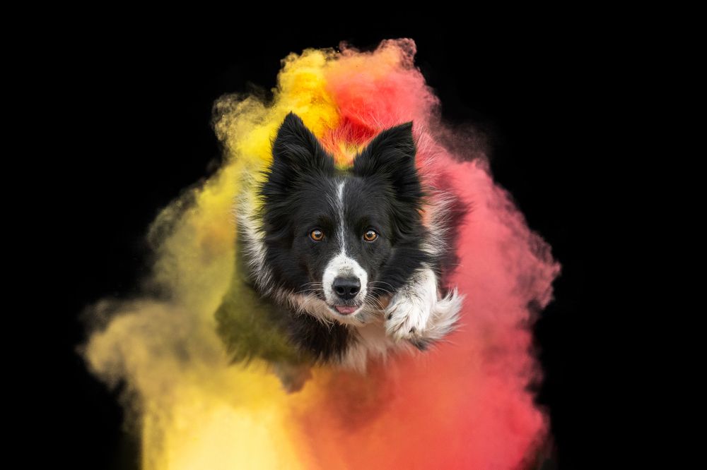 Photograph by Federico Sorgiovanni