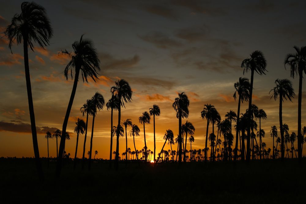 Photograph by Gonzalo Jorge Eduardo MARÓN