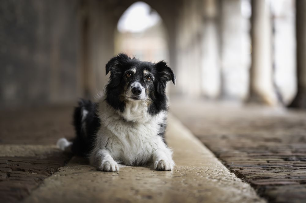 Photograph by Federico Sorgiovanni