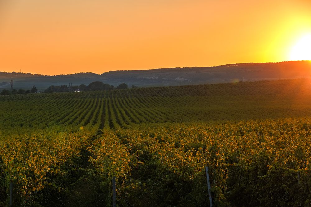 Photograph by Александр Шинкаревский