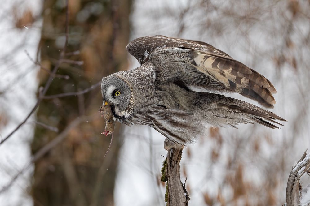 Photograph by Антон Науменко