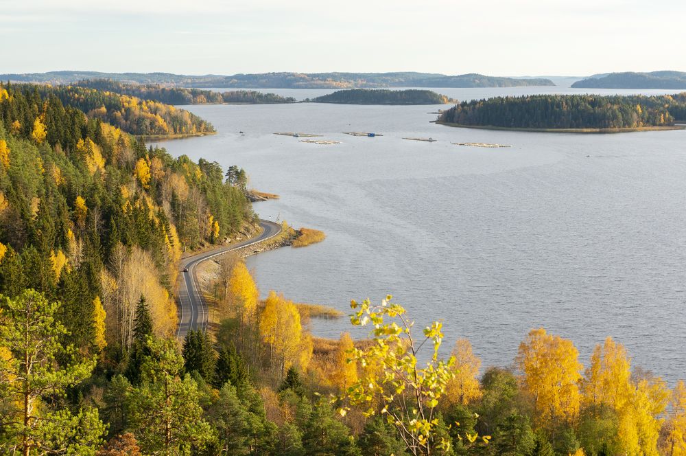 Фотография автора Екатерина Кожевникова