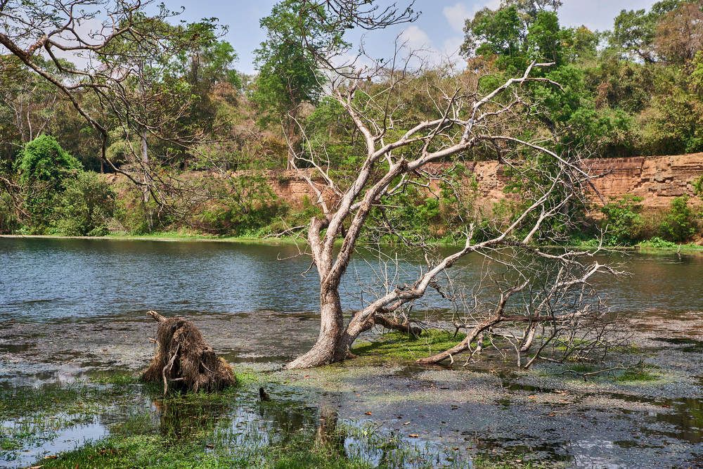 Photograph by Дмитрий Солодухин
