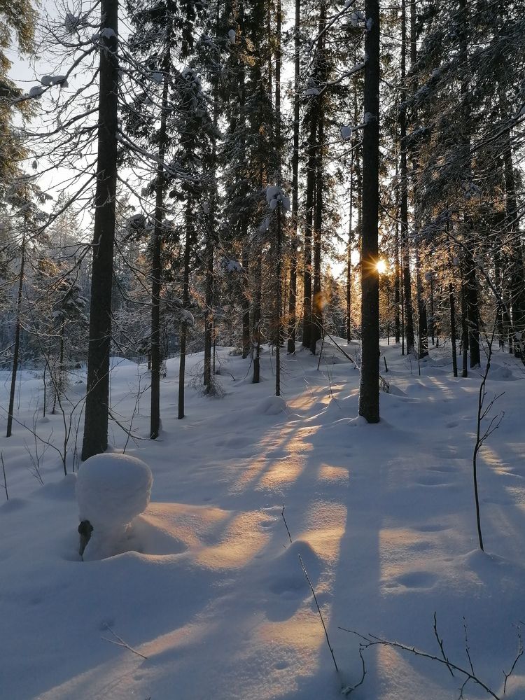 Photo #10388475