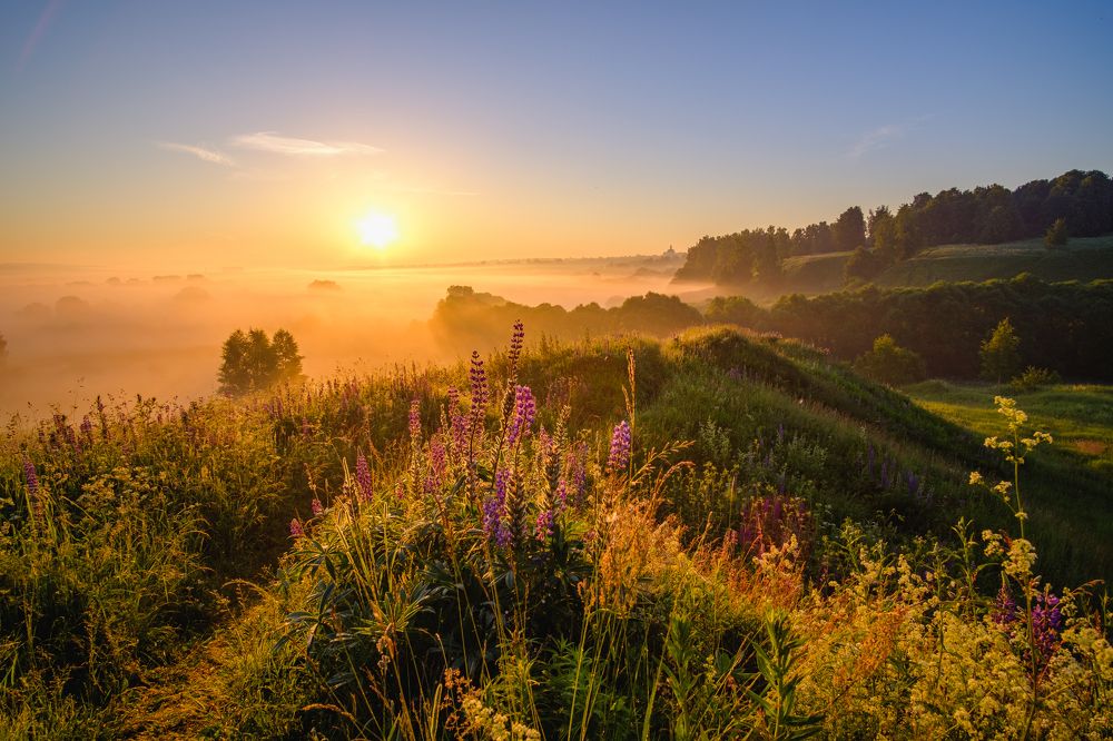 Photograph by Александр Корженков