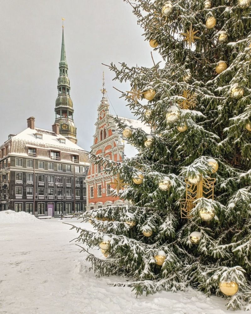 Photograph by Ирина Калюжная