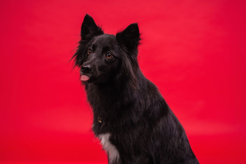 Фотография автора Юлия Бец